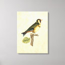 Pesquisar por fundo bege impressão de canvas Ave