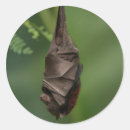 Pesquisar por do sono adesivos Dormir