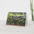 Pesquisar por carolina cartoes Carolina do sul