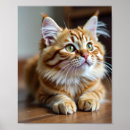 Pesquisar por gato pôsteres Legal