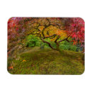 Pesquisar por jardim japonês cartoes Chuck haney