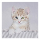Pesquisar por pintura original pósteres pôsteres Gato