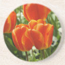 Pesquisar por tulips porta copos Laranja