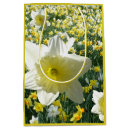 Pesquisar por daffodil do primavera Qualquer pessoa