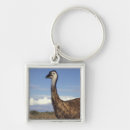 Pesquisar por raros chaveiros Natureza