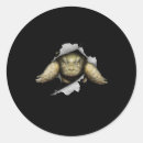 Pesquisar por tortoise adesivos Réptil