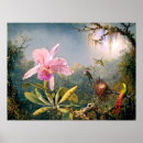 Pesquisar por cattleya pôsteres Flores