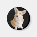Pesquisar por dog imas Simples