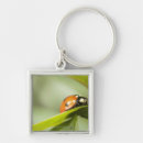 Pesquisar por joaninha chaveiros Foco seletivo