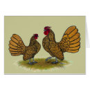 Pesquisar por sebright galinha Pássaro