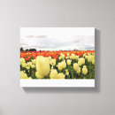 Pesquisar por arte da tulipa impressão de canvas Flores