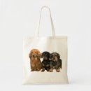 Pesquisar por doxie bolsas Filhote de cachorro