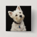 Pesquisar por westies acessorios Animais
