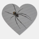 Pesquisar por spider adesivos Inseto