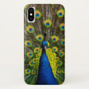 Pesquisar por feather eletronicos Bird