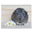 Pesquisar por piggies escritorio escola Cobaias