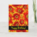 Pesquisar por gerbera cartoes Daisy