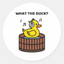 Pesquisar por duck adesivos Humor
