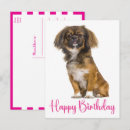Pesquisar por pekingese cartoes Cachorrinho
