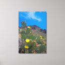 Pesquisar por saguaro cactus impressão de canvas Sudoeste