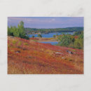 Pesquisar por cartao outono cartoes postais Colorido