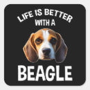 Pesquisar por beagle artesanato material Fofofo