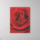 Pesquisar por beleza natural impressão de canvas Ninguém