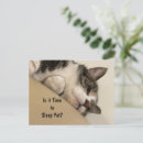 Pesquisar por dormir cartoes postais Gatos