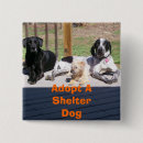 Pesquisar por mistura botons Cães