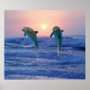 Pesquisar por golfinho pôsteres Oceano