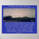 Pesquisar por animais estimação memoriais Memorial