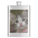 Pesquisar por gatinho cantis Animal