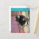 Pesquisar por capoeira cartoes postais Fofo