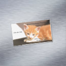 Pesquisar por hospital do animal estimação de cartao de visita Médico veterinário