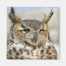 Pesquisar por curiosidades imas Horizontal