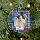 Pesquisar por gato azul ornamentos Animal de estimação