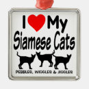 Pesquisar por ame meu gato For pets