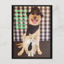 Pesquisar por do bom humor cartoes postais Cão