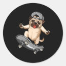 Pesquisar por sk8 adesivos Patinar