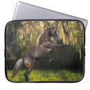 Pesquisar por equestre capas Foto