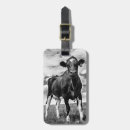 Pesquisar por paisagens bagagem tags Prados