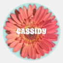 Pesquisar por gerberas adesivos Gerbera daisy