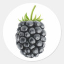 Pesquisar por amora preta adesivos Fruta