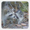 Pesquisar por nacional adesivos Florida