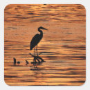 Pesquisar por do pantanal adesivos Animais selvagens