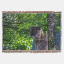 Pesquisar por charuto mantas Vida selvagem