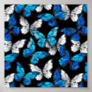 Pesquisar por desenho borboleta pôsteres Mariposa