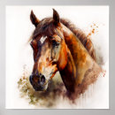 Pesquisar por cabeça cavalo pôsteres Retrato de cavalo
