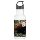 Pesquisar por da panda garrafa agua Urso de panda