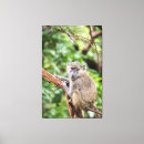 Pesquisar por animais africanos impressão de canvas Vida selvagem